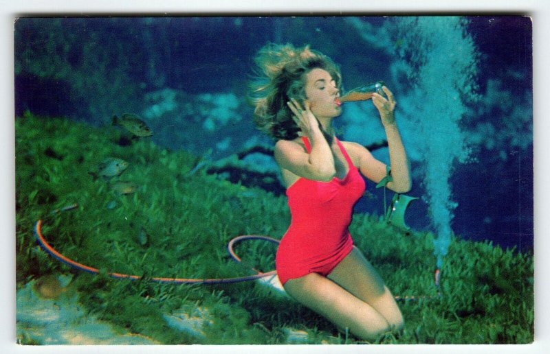 Weeki Wachee Mermaids Florida Postcard Women Underwater Drinks From Soda Bottle