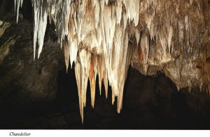 Vintage Postcard Chandelier Rock Formation Carlsbad Caverns National Park NM