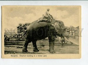 3120404 Thailand BANGKOK Elephant working in Timber Yard Old PC