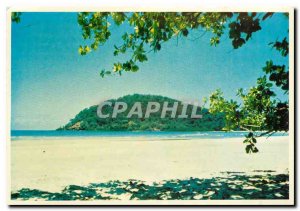 Modern Postcard Cape Tribulation NQ