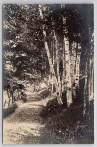 Chester VT Lovely Path Within The Birch Trees RPPC Vermont Postcard Y30