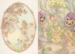 Fairy World Collection Blossom Primrose Pixies 2x Postcard s