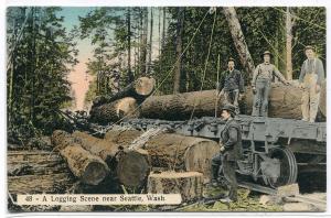 Loading Logs Railroad Cars Logging Seattle Washington 1910c postcard