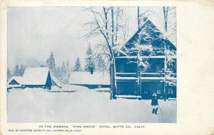 Postcard California Butte Pine Grove Sierras Hotel 23-1530