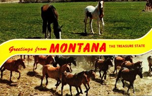 Montana Greetings From Montana