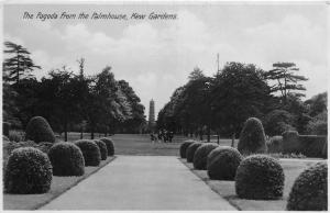 BR60159 the pagoda from the palmhouse kew gardens london real photo  uk