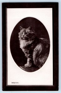 Harrington Washington WA Postcard RPPC Photo  Majestic Cat Kitten Haired Studio