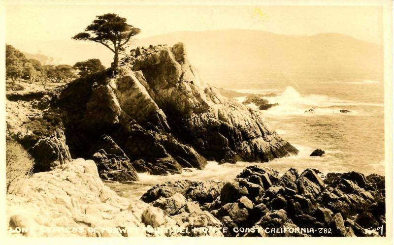 CA - Del Monte Coast, Midway Point Lone Cypress  - RPPC