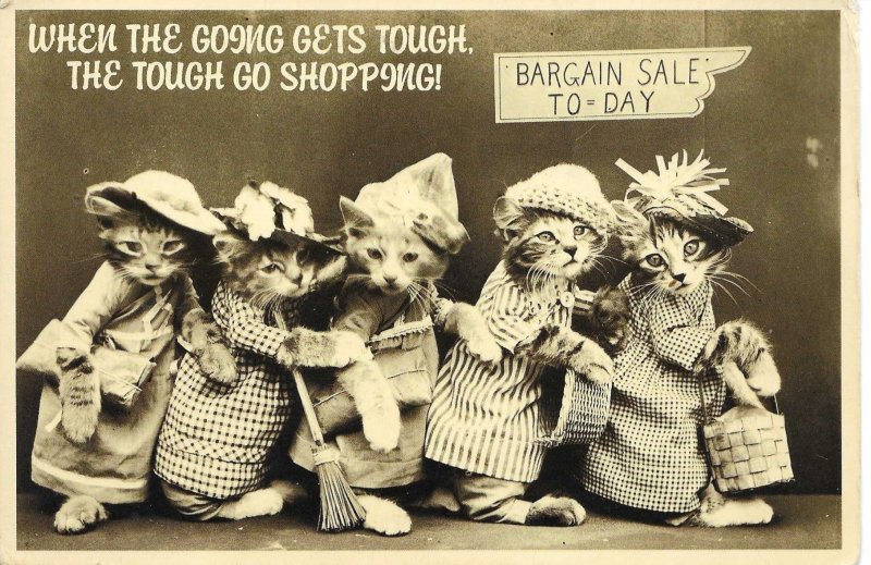Humanized cats . Shopping DayModern English  photo postcard 1980s