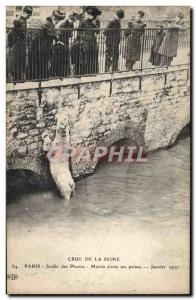 Old Postcard Bear Crue of the Seine Paris Garden plants Martin tale sorrows J...