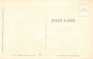 Vintage Postcard 1930 Primitive Hunter Bow Arrow North Carolina