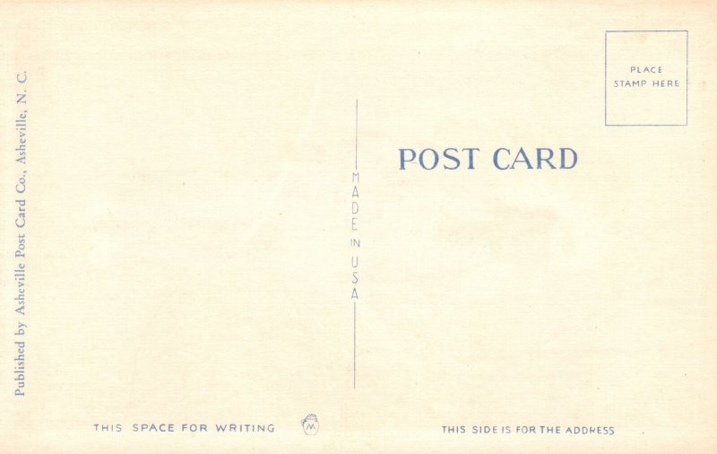 Vintage Postcard 1930 Primitive Hunter Bow Arrow North Carolina