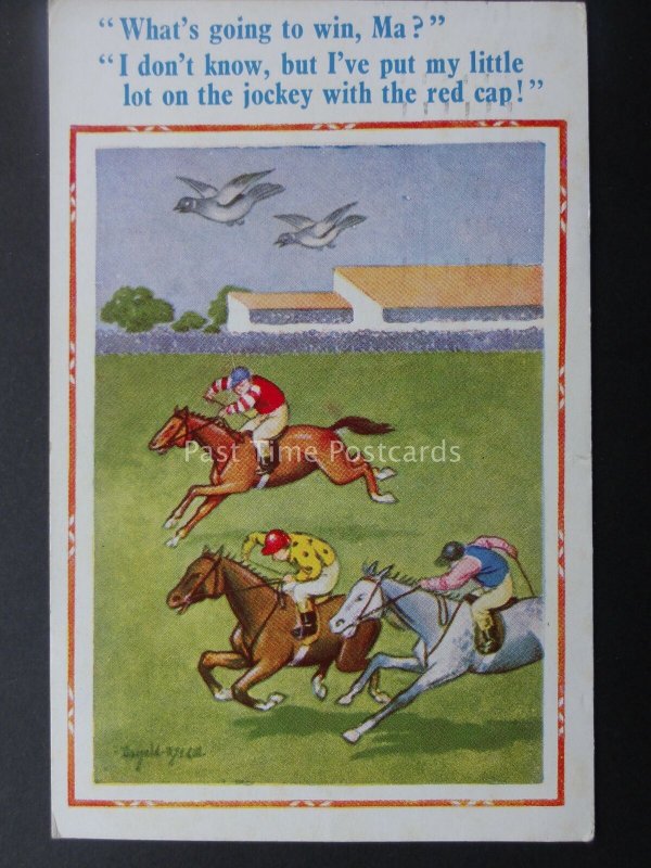 Donald McGill Postcard HORSE RACING - PIGEONS, WHO'S GOING TO WIN, MA? c1950's