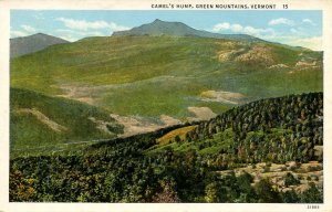 VT - Camel's Hump.