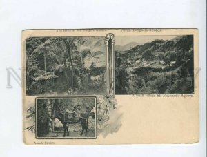 3171990 PORTUGAL Ponta Delgada Acores Vintage collage postcard