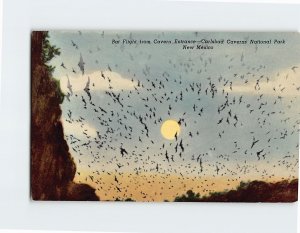 Postcard Bat Flight from Cavern Entrance, Carlsbad Caverns National Park, N. M.