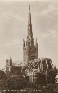 Norfolk Postcard - Norwich Cathedral, South East View   RS22325