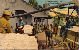 Linen Postcard Black Men During Cotton Ginning Time in Memphis, Tennessee