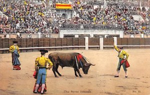 Una Buena Eztocada Tarjeta Postal, Bullfighting Unused 