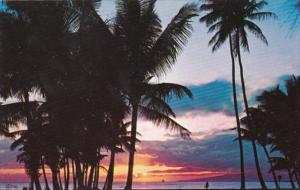 Hawaii Sunset At Waikiki Beach