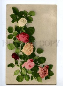 236219 ROSES 1910 year RPPC RUSSIA TORBINO St.Petersburg