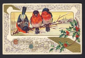 Christmas - Bird birds robbin? snow holly berries embossed