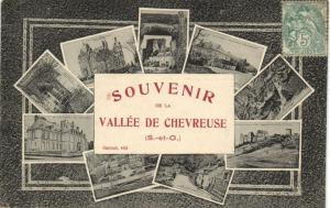 CPA Souvenir de la Vallée de CHEVREUSE (260544)