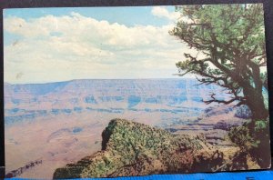 Cape Royal Grand Canyon National Park 1952 Vintage Postcard