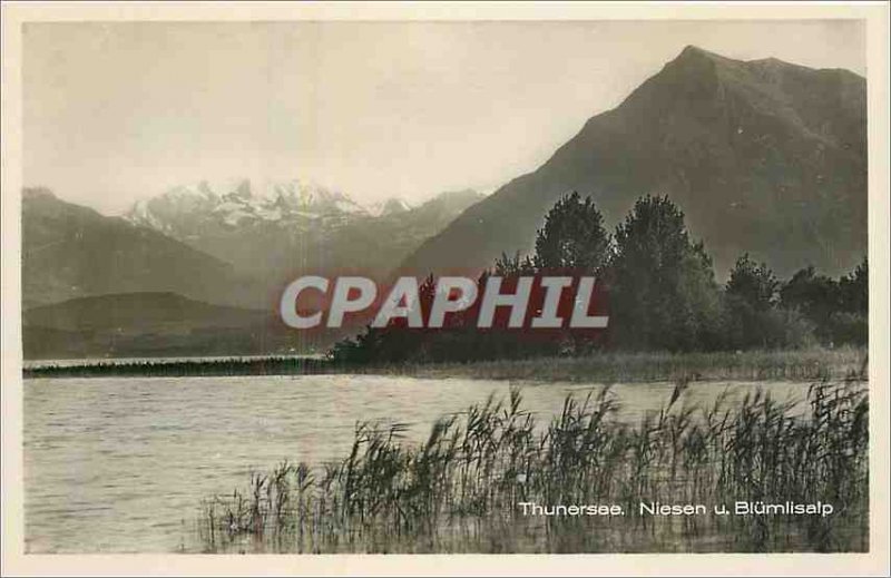 Old Postcard Thunersee Niesen u Blumlisalp