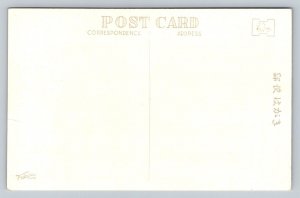 Sarusawa Pond at Nara Park  Japan  Postcard