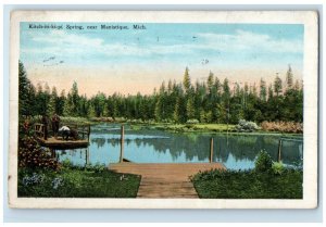 1928 Scenic View Kitch-Iti-Ki-Pi Spring Manistique Michigan MI Vintage Postcard