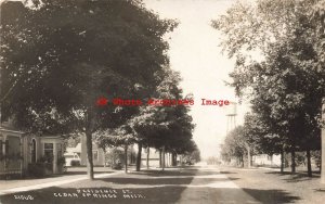 MI, Cedar Springs, Michigan, RPPC, Residence Street, 1910 PM, Photo No 21568