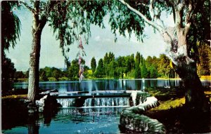 Islewild Park Reno Nevada NV Water Postcard VTG UNP Mike Roberts Vintage Unused 