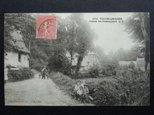 France Veules Les Roses CHEMIN DES CRESSONNIERES c1904 UB Postcard