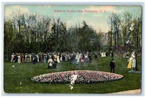 1910 Scene Seneca Park Garden Flower Rochester New York Vintage Antique Postcard 