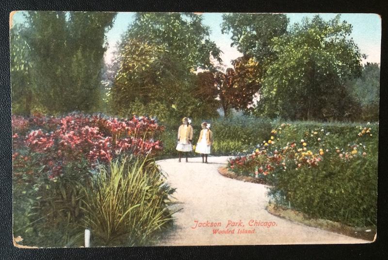 Jackson Park, Chicago, Wooded Island, Franklin Post Card Co. 257 