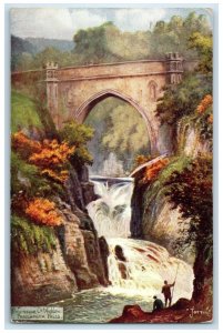 1912 Phoulaphuca Falls County Wicklow Ireland Oilette Tuck Art Postcard