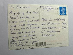 POSTED 2000 HUMOROUS POSTCARD - CHEEKY SODS ROLL ME INTO THE SEA      (KK804)