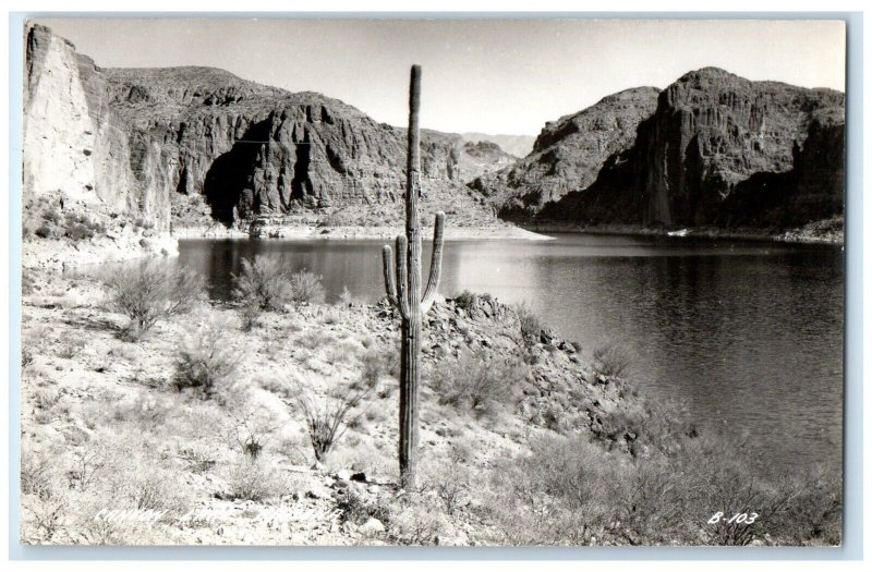 c1940's View Of Canyon Lake Arizona AZ RPPC Photo Unposted Vintage Postcard