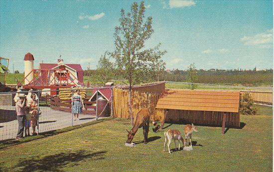 Canada Young Elk and English Spotted Deer Childrens Zoo Storyland Valley Edmo...