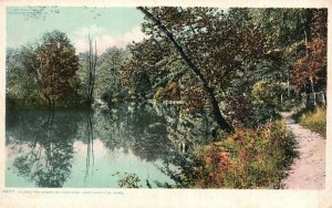 Vintage Postcard 1920's Along The Shore Of Paradise Northampton Massachusetts MA
