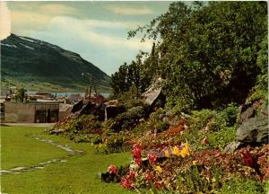 CPA AK Show of flowers NORWAY (830114)