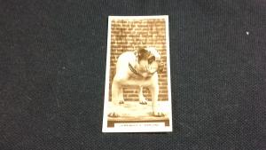 De Reszke Cigarette Card No 8 Somebody's Darling