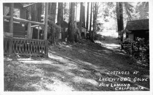 Ben Lomond California view of Lockwoods Grove cottages real photo pc Z17778