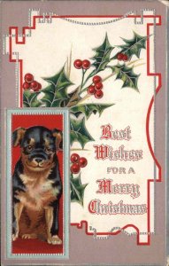 Christmas Cute Puppy Dog Black Newton MA Women's Clubs Seal c1910 Postcard