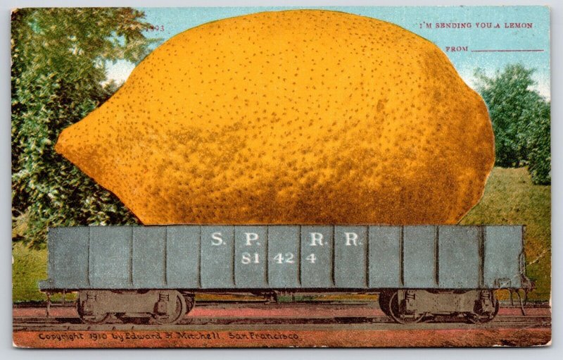 c1910 I'm Sending You a Lemon From Train  Car Vintage Postcard E. Mitchell