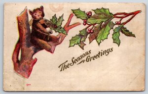 Christmas Bear~The Seasons Greetings~Cub Sits In Tree~PM 1908~Emboss Vintage PC