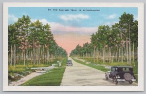Linen~Tamiami Trail In Florida~Vintage Postcard 