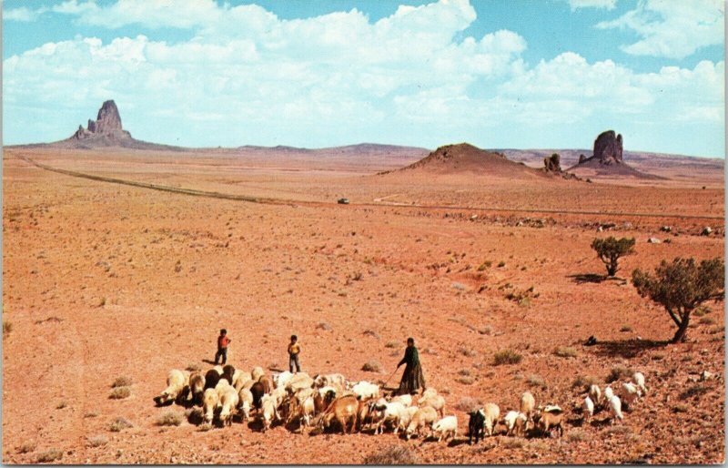 postcard  Navajo Sheep Herders with El Capitan and Burnt Foot Butte