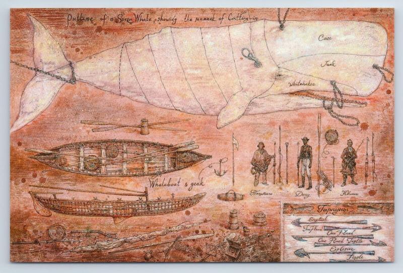 Moby Dick, the white whale and whaling ship Russian Modern postcard